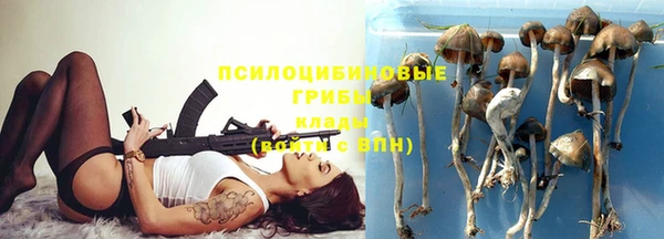 ALPHA-PVP Горняк