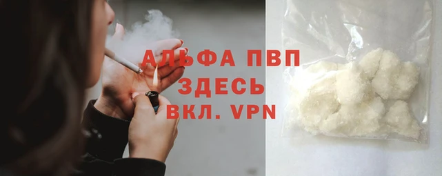 ПСИЛОЦИБИНОВЫЕ ГРИБЫ Вязьма