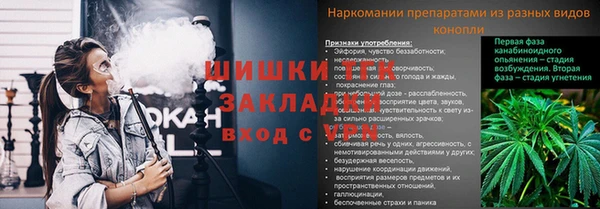 каннабис Вяземский